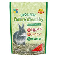 パスチャーウィートヘイ 小動物用 400g 3袋 ハイペット