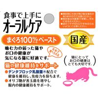 健康缶 オーラルケア まぐろペースト 国産 40g 1セット（1袋×6）キャットフード ウェット パウチ