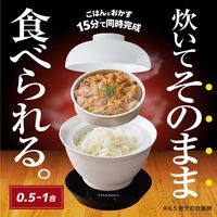 サンコー 2段式どんぶり型超高速炊飯器「炊き立て丼」 DNBRRCSWH 1個（直送品）