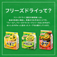 味の素　クノール フリーズドライスープ5種セット　1セット（24食）