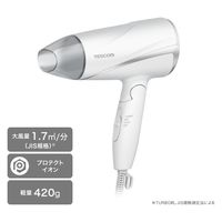 ヘアドライヤー プロテクトイオン 折りたたみ 軽量 大風量 切替スイッチ 静電気抑制 ホワイト TD360A-W テスコム 1個