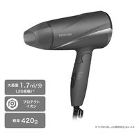 ヘアドライヤー プロテクトイオン 折りたたみ 軽量 大風量 切替スイッチ 静電気抑制 グレー TD360A-H テスコム 1個