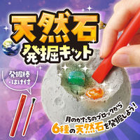 アーテック 天然石発掘キット 58251 1セット(4包)（直送品）