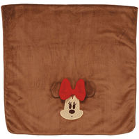 スケーター 吸水速乾 タオルギフトセット (ヘアドライタオル・バスタオル) 【ミニーマウス】 661136-SET1072 1個（直送品）
