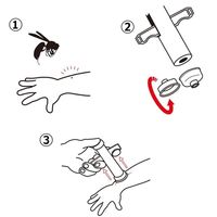 飯塚カンパニー ポイズンリムーバー・インセクト 25313700 HS-011 1箱(12入)（直送品）