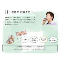 ルピナス 長息生活(レベル3)緑 レベル3 25283900 T11890(10ホン) 1箱(10入)（直送品）