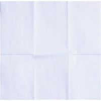 九州紙工 6ツ折ナフキン 紙ナプキン6つ折白(250×250mm) 0110001-1 1ケース(10000枚(100枚×100)（直送品）