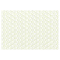 九州紙工 HANAシリーズテーブルマット 梅大 礼紙(26×38cm) HANA-2T 1ケース(1000個(100個×10)（直送品）