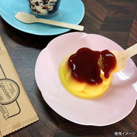 九州紙工 使い捨てスプーン ウッドデザートスプーン10cm紙完封 WDS-003 1ケース(3000個(100個×30)（直送品）