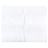 九州紙工 不織布おしぼり おしぼりレーヨンドット エンボス不織布 平型 RE-1 1ケース(2500個(100個×25)（直送品）