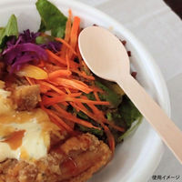 九州紙工 使い捨てスプーン ウッドスプーン16cm紙完封 WS-001 1ケース(3000個(100個×30)（直送品）