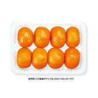 リスパック フルーツ容器 ニュートフルーツ K-200 FAST160 1ケース(400個(100個×4)（直送品）