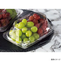 リスパック フルーツ容器 バイオ きらめき 18-12S(60) PBTV493 1ケース(400個(50個×8)（直送品）