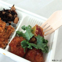 九州紙工 使い捨てフォーク ウッドフォーク16cm紙完封 WF-002 1ケース(3000個(100個×30)（直送品）