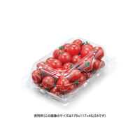 リスパック フルーツ容器 バイオ とれたて 18-12(70) PBTT376 1袋(50個)（直送品）
