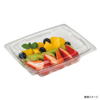 リスパック 惣菜容器 バイオカップ ツブNK38BA PBPR344 1ケース(600個(50個×12)（直送品）