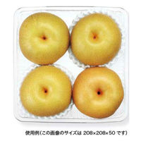 リスパック フルーツ容器 ニュートフルーツ K-81 新 FAST111 1袋(100個)（直送品）