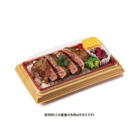 リスパック バイオ晴箱3 中皿2 黒 RHHN531 1袋(50個)（直送品）