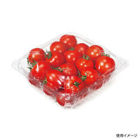 リスパック フルーツ容器 バイオ とれたて 19-19(89) PBTT891 1袋(25個)（直送品）