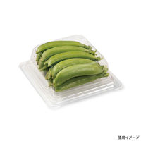 リスパック フルーツ容器 バイオニュート キューブ13-45B PYBA110 1袋(50個)（直送品）