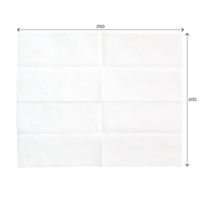 九州紙工 不織布おしぼり 使い捨て厚手おしぼり W-20 1ケース(800個(50個×16)（直送品）