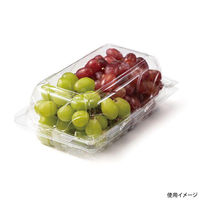 リスパック フルーツ容器 バイオ とれたて 20-13(75) PBTT486 1ケース(400個(50個×8)（直送品）