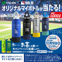 伊藤園 氷水出しティーバッグ 贅沢なお～いお茶 かおる加賀棒ほうじ茶 1袋（10バッグ入）