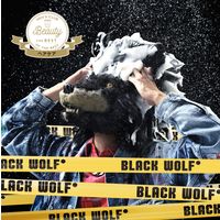 【アウトレット】ブラックウルフプレミアム スカルプコンディショナー380mL（ポンプタイプ）1個　ハリ　コシ　ボリューム