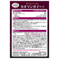 タイの台所 タイからやってきたカオマンガイキット 75g（2人前） 1個 アライドコーポレーション タイ料理の素