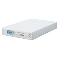 ジョインテックス スマートバリュー カラーペーパー厚口B4 空 2000枚 A273J-5 1箱（直送品）