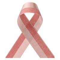 ヘッズ メタリックツートーンカラーリボン-1/レッド(1巻) MTC-R1 1セット(10パック×1巻)（直送品）