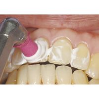 OKABE セラブライト(エナメルトリートメント) 25256100 80002(50G) 1個（直送品）