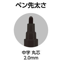 シンワ測定 工事用 超耐久ペイントマーカー中字 黒 79301 1本