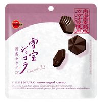 チョコレート バレンタイン ホワイトデー 個包装　お配り菓子 雪室ショコラ　熟成カカオ73 45g 1セット（1個×3）