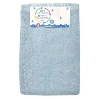 林 フェイスタオル テラカラー ブルー 1セット(同色2枚) FN602401 1セット(同色2枚入)