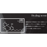 YAMAZEN ヒーリングセント CBD リードディフューザー サボン 詰替 100ml HSC-RDR2 1個（直送品）