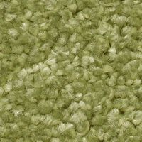 スミノエ コンシェルジュ オーダーラグ エコロア 2550×4150mm グリーン AS-ECR114-GN255415 1枚（直送品）