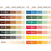 和信化学工業 Aqurex ポアーステイン チェリーレッド 14kg 54133 1缶（直送品）