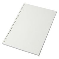 無印良品 植林木ペーパー裏うつりしにくいルーズリーフ B5・5mm方眼 26穴 100枚 1セット（1袋（100枚入）×5）