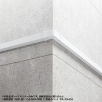 サンワサプライ 配線ダクト(40×30×1000mm・ホワイト) CA-KK40W 1個