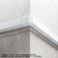 サンワサプライ 配線ダクト(80×60×1000mm・ホワイト) CA-KK80W 1個（直送品）