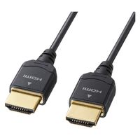 サンワサプライ ウルトラハイスピードHDMIケーブル(スーパースリムタイプ) KM-HD20-USS10 1個（直送品）