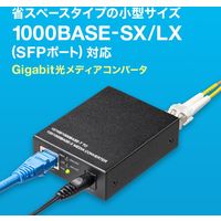 サンワサプライ 光メディアコンバータ LAN-NGC200 1個（直送品）
