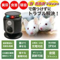 ベスト・アンサー 撃退器 220度 ブラック 2台セット aut-059-2p 1セット(2台入)