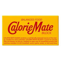 カロリーメイトブロック チョコレート味2本入 1セット（1箱×60） 大塚製薬
