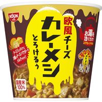 日清食品 日清欧風チーズカレーメシ とろけるぅ 1セット（6個）