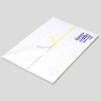 ササガワ OA対応のし紙(熨斗紙) 半紙判 黄水引 京 2-245 1パック(100枚入)