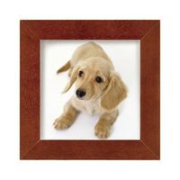 ハクバ写真産業 フォトフレーム カレ フィス89 1面 ブラウン FSQCF-89BR 1パック 62-9765-67（直送品）