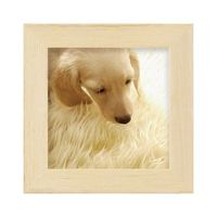 ハクバ写真産業 フォトフレーム カレ フィス89 1面 ナチュラル FSQCF-89NT 1パック 62-9765-68（直送品）