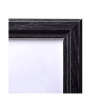 ハクバ写真産業 ピクスリア A4サイズ ブラック FWPX-BKA4 1パック 62-9766-67（直送品）